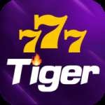 777tiger Live Casino Premium